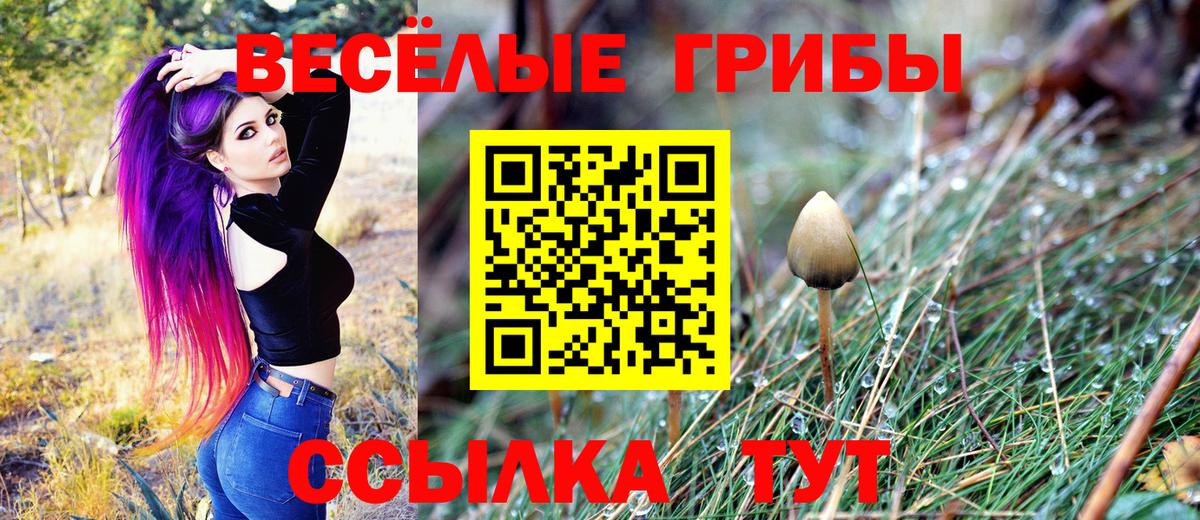 А ПВП Качканар
