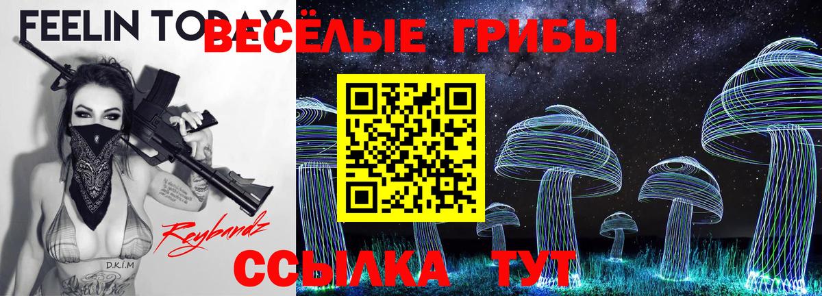 Псилоцибиновые грибы GOLDEN TEACHER Качканар