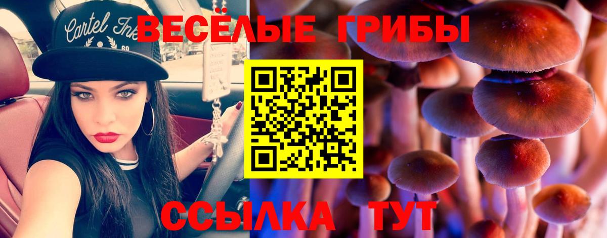 Псилоцибиновые грибы Psilocybe  Вход с VPN  Качканар  Псилоцибиновые грибы Psilocybine cubensis 